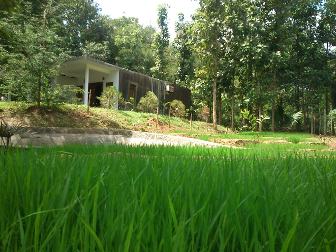 Others 4, Kottawatta Village, Embilipitiya