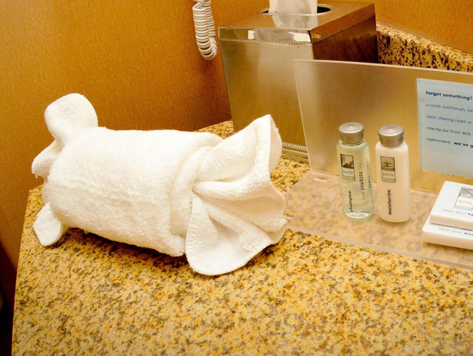Bathroom 4, Hampton Inn Elizabethtown KY, Hardin