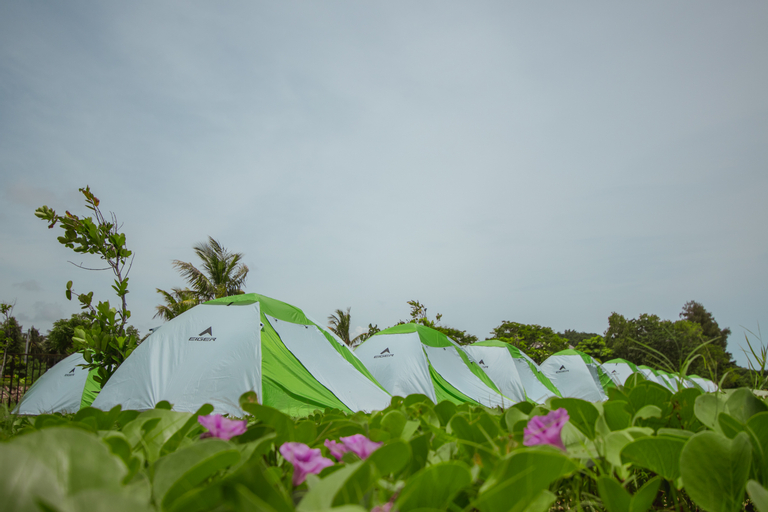 Others 4, Bobobox X Eiger Campsite Mandalika, Lombok