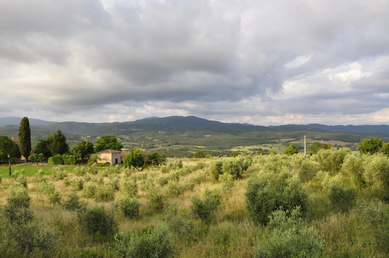 Others 4, Rustic Tuscan style apartment, Grosseto