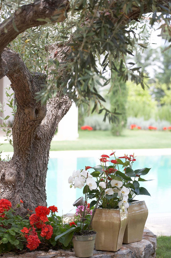 Others 4, The Marble Resort, Central Greece