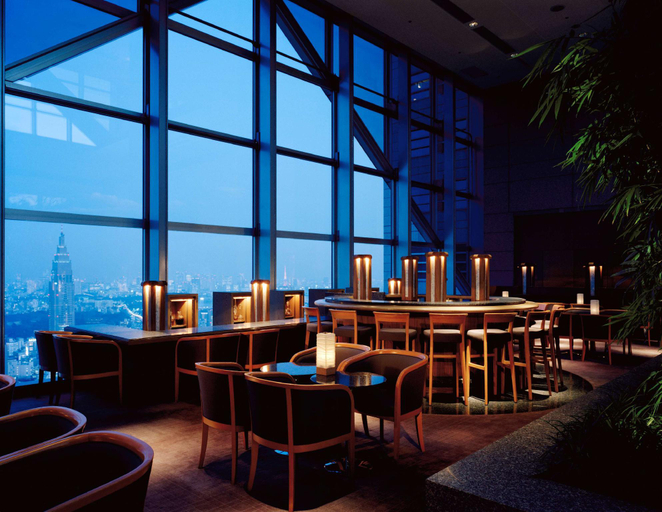 Public Area 4, Park Hyatt Tokyo, Shinjuku