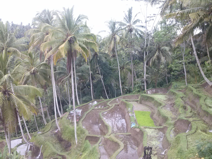 Others 3, Maha Neka, Karangasem