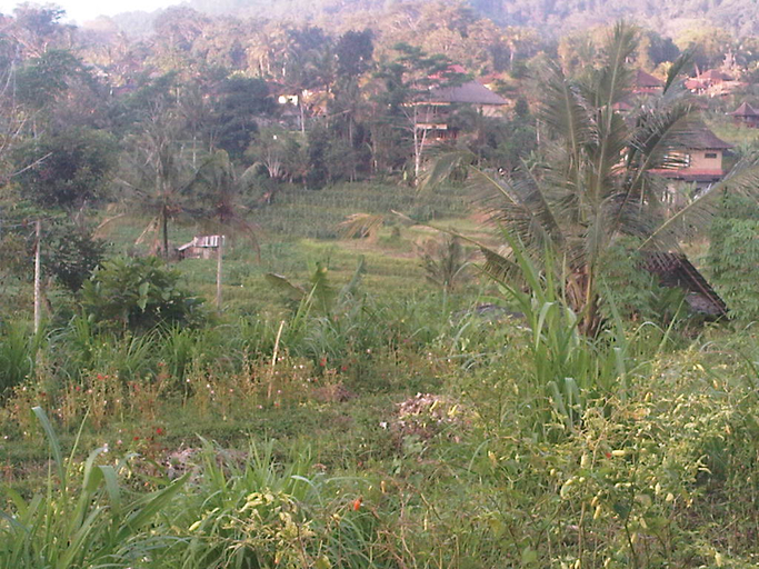 Others 5, Maha Neka, Karangasem