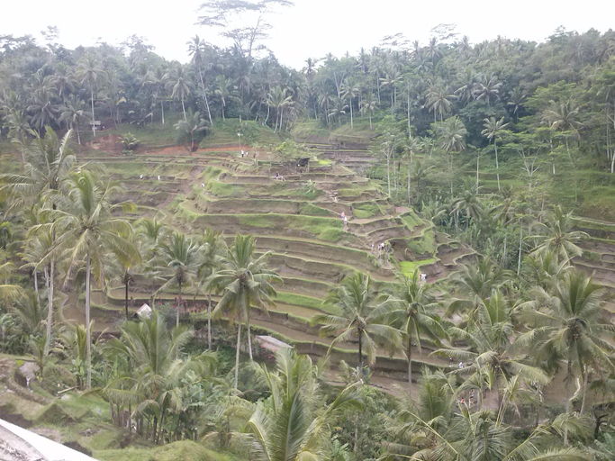 Others 4, Maha Neka, Karangasem