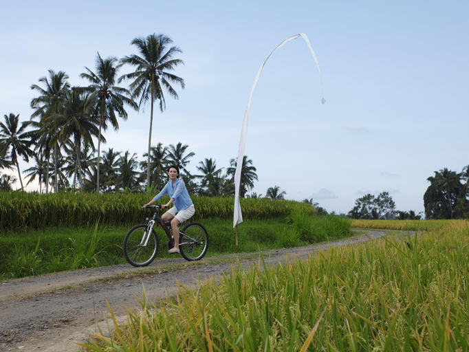 Surrounding environment 2, Amala Villa Ubud, Gianyar