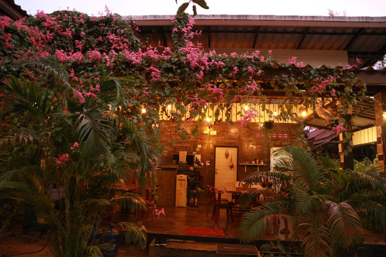 Public Area 3, Raven Blue, Ko Lanta