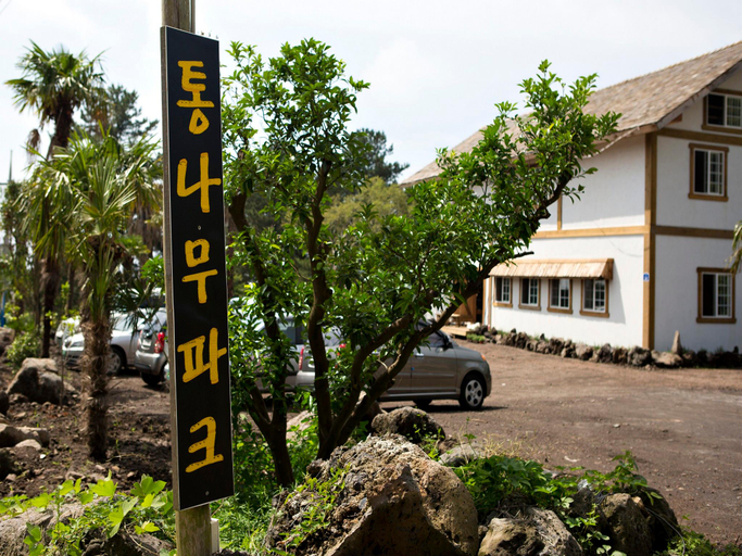 Others 4, Log Park Holiday Hotel, Jeju