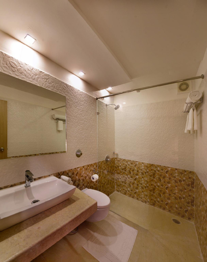 Bathroom 4, Clarks Inn Hampi, Bellary