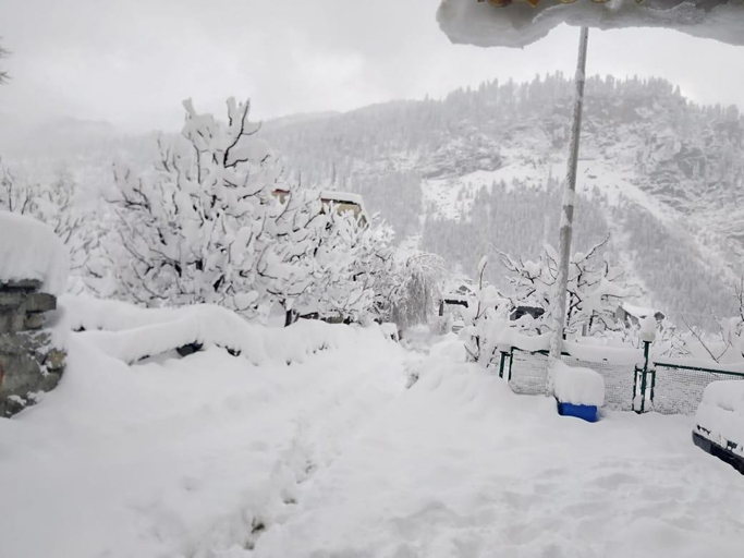 Others 5, Kalista Resorts, Kullu