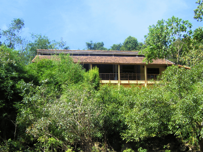 Others 4, Forest Floor Lodge, Tân Phú