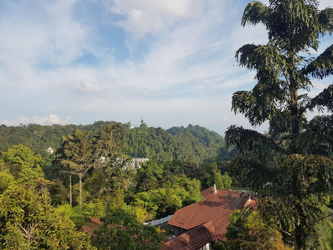 Others 4, Little England B8 (Silverpark), Raub