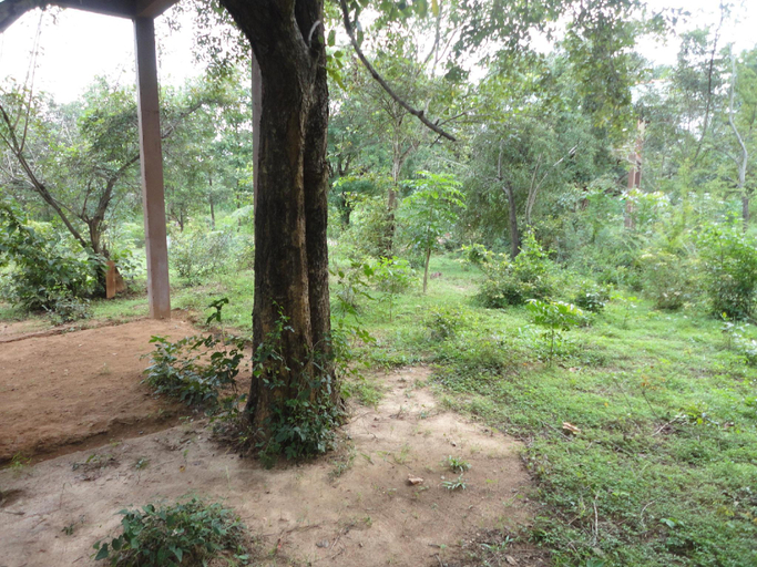 Others 5, Inn On The Tree, Dambulla