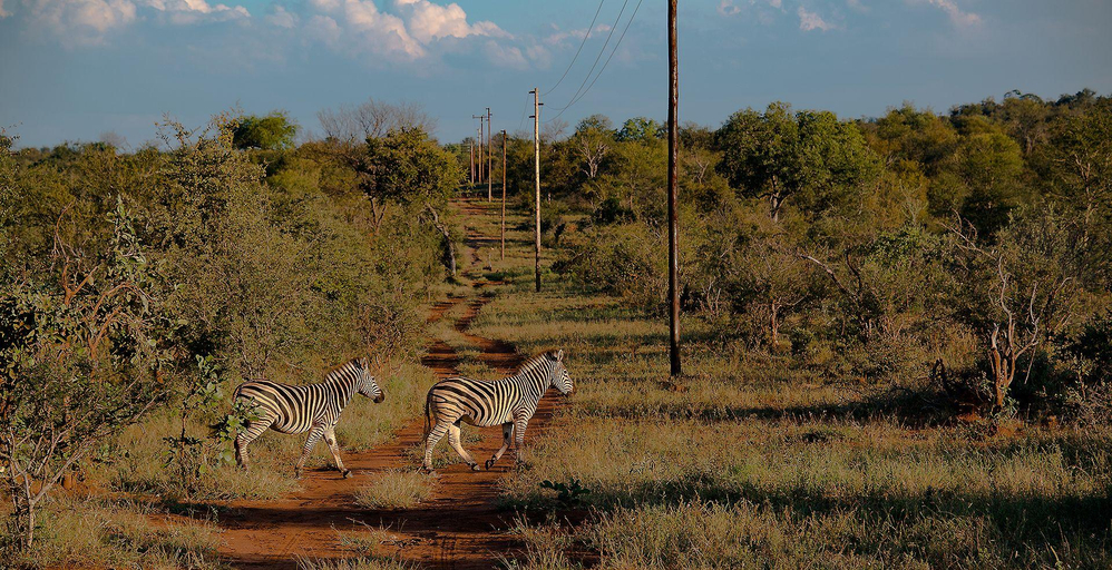 Others 2, Elephant Game Lodge , Mopani