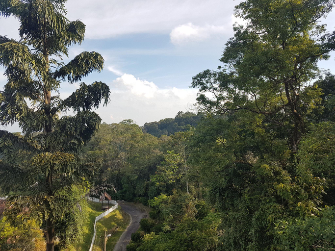 Others 4, Little England B8 (Silverpark), Raub