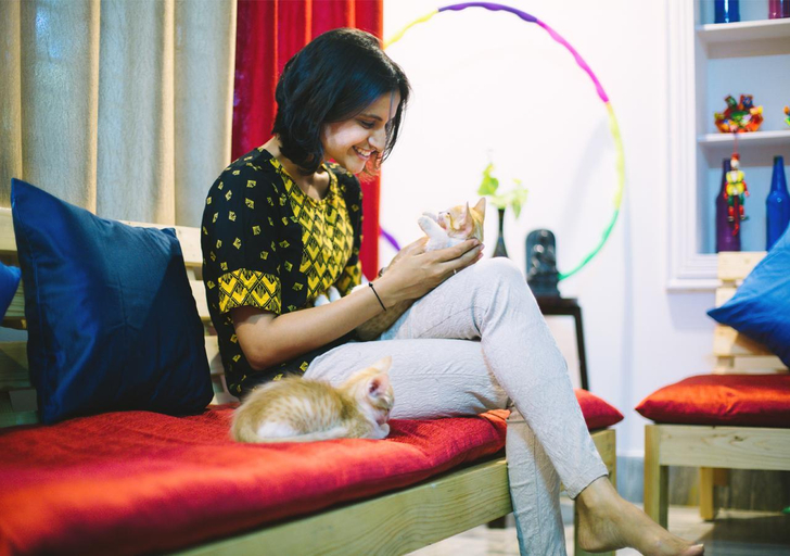 Others 4, Zostel Mysore, Mysore