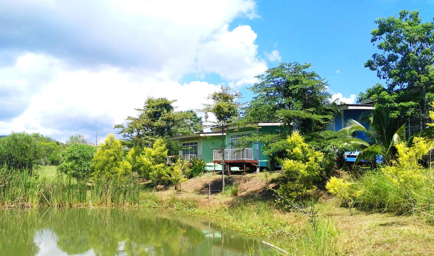 Others 5, The creek villa, Phu Kradung