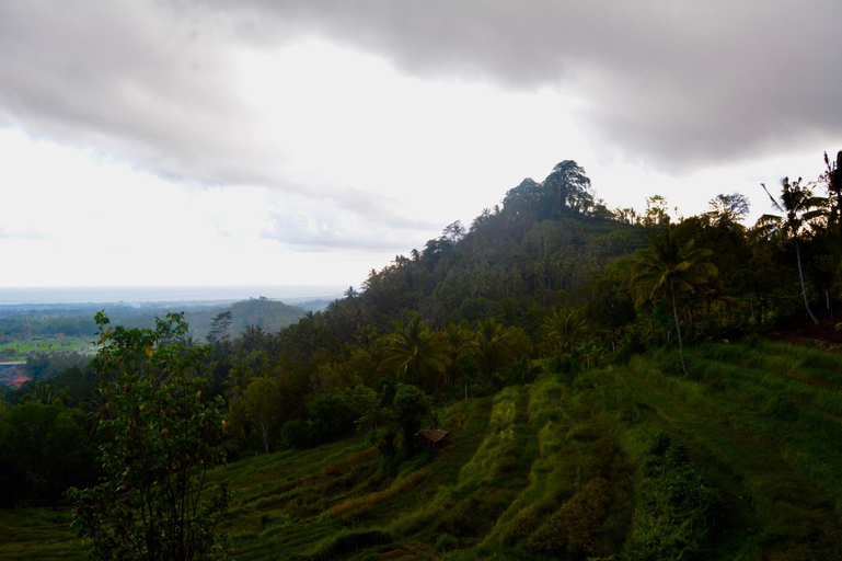 Others 3, IGURU Homestay, Karangasem