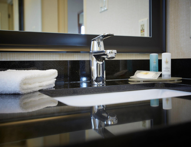 Bathroom 4, Comfort Inn West Edmonton, Division No. 11