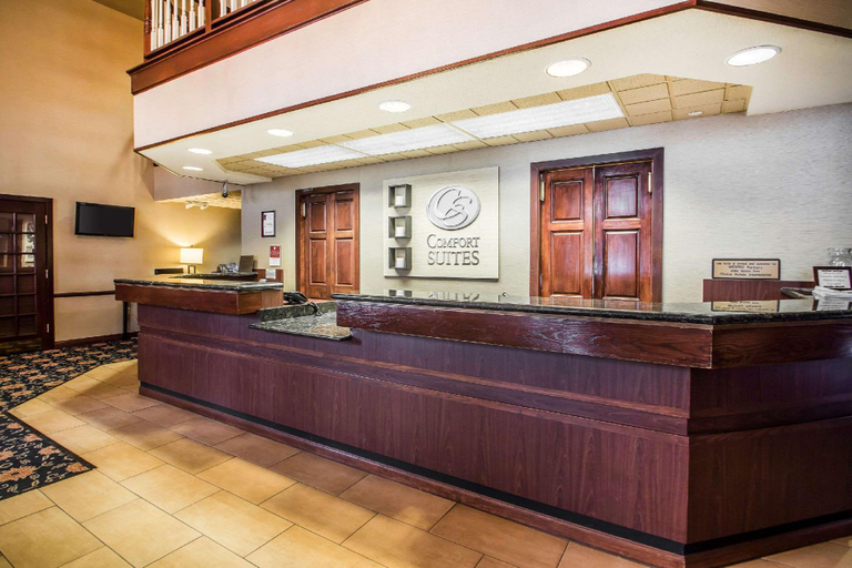Public Area 2, Comfort Suites Madison West - Middleton, Dane