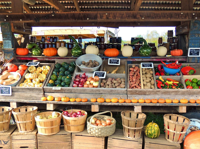 Others 5, Burnside Organic Farm, Augusta-Margaret River