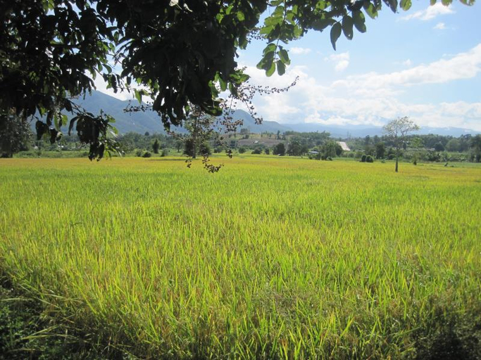 Others 4, Lemont Pai Resort, Pai