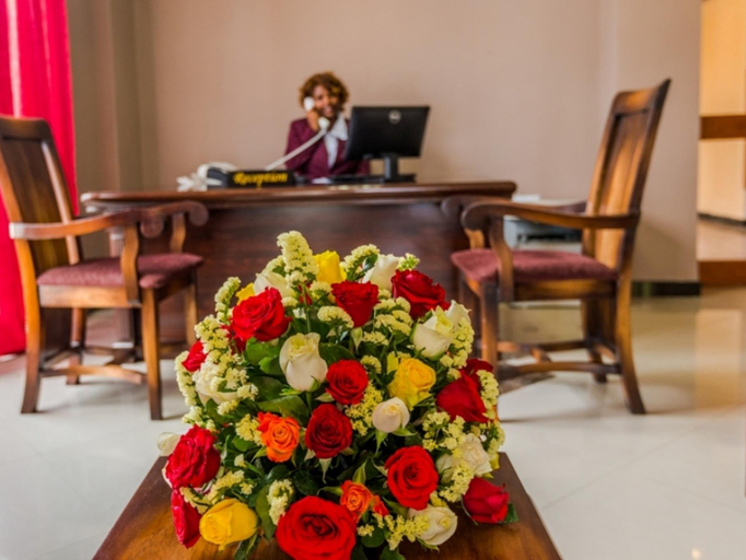 Public Area 3, Wudasie Castle Hotel, Addis Abeba