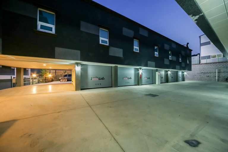 Others 5, Cats Hotel, Dalseong