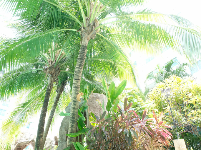 Others 4, Jomtien Beach Apartments, Pattaya