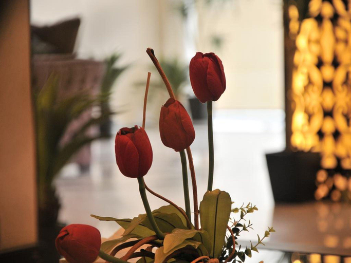 Others, Sama Park Hotel Apartments, Jeddah