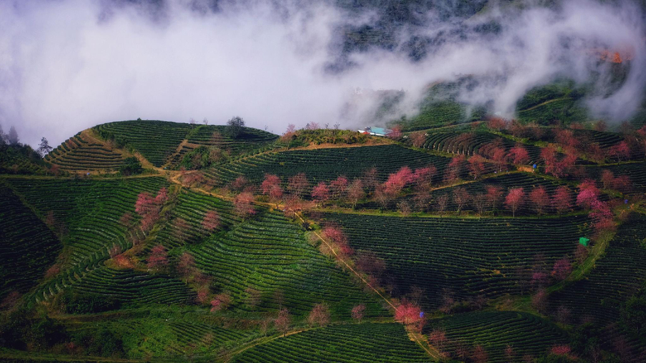 Others 2, Sapa Dao Homestay, Sa Pa