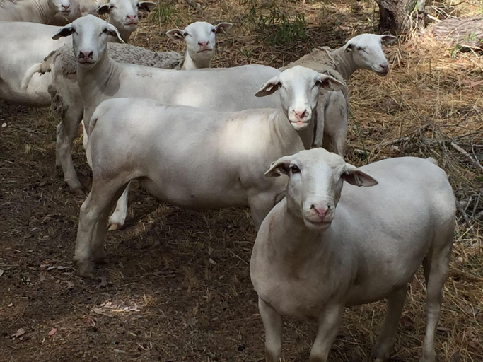 Others 5, Tanah Marah, Augusta-Margaret River