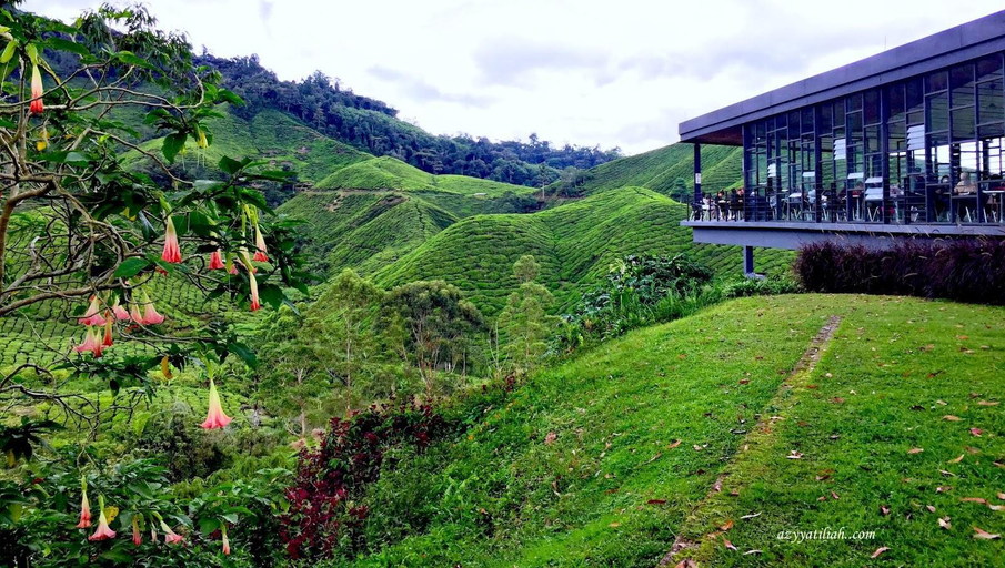 Others 2, TULIPS Homestay Cameron Highlands, Cameron Highlands
