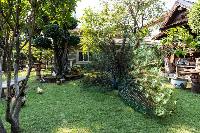 Others 4, Thai Woodhouse - Peacock Room, Wattana