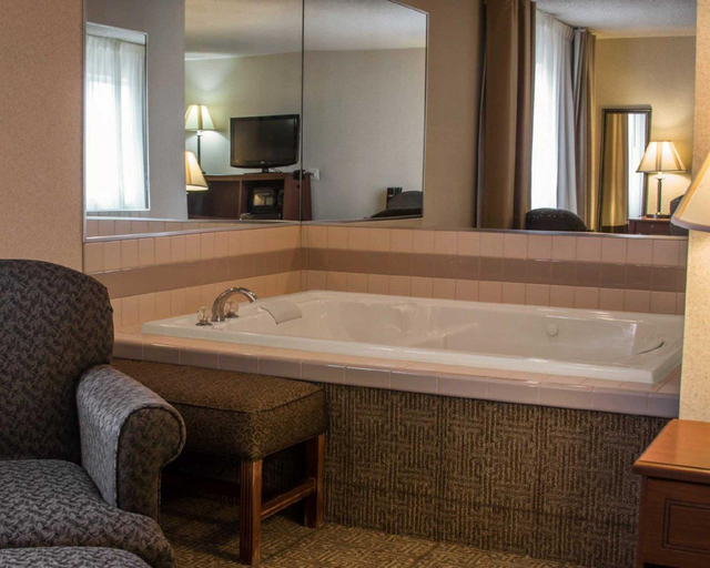 Bathroom 3, Comfort Inn & Suites Dimondale - Lansing, Eaton