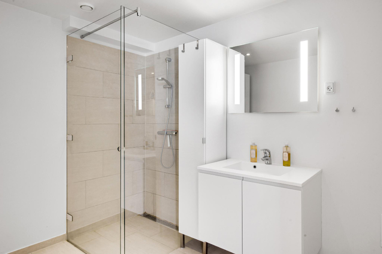 Bathroom, Spacious Centrally Located Penthouse With a Terrace Close To Illum, Copenhagen