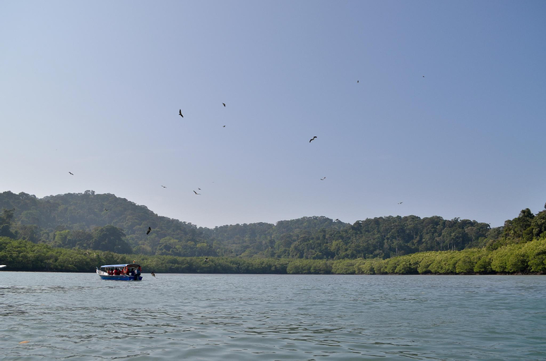 5, RANIS LODGE ALANG - NATURE GETAWAY, Langkawi