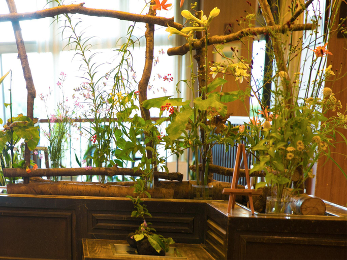 Public Area, Kuju Kanko Hotel, Kokonoe