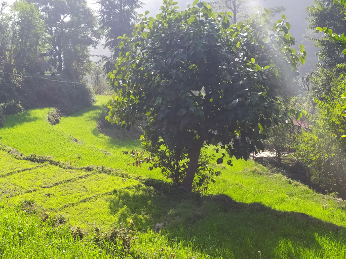 Others 3, Rishikesh Valley Hotel, Tehri Garhwal