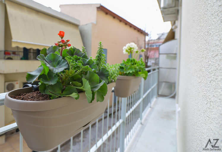 Others 3, Phaedra Apartment, Attica