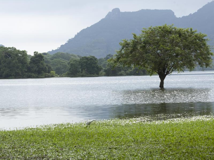 Surrounding environment 4, Amaya Signature Dambulla, Dambulla