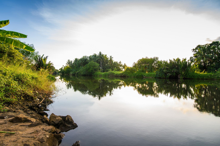 Others 4, Lamphurai Riverside, Khao Saming