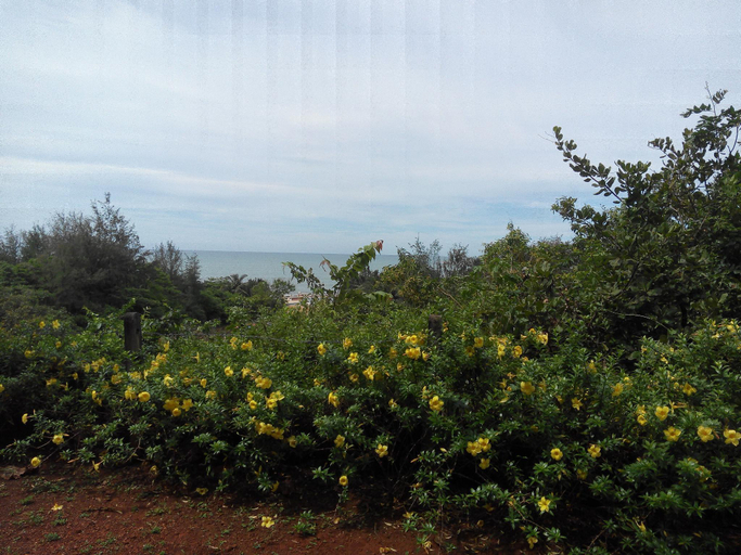 View 2, Agonda Dream View Resort, South Goa