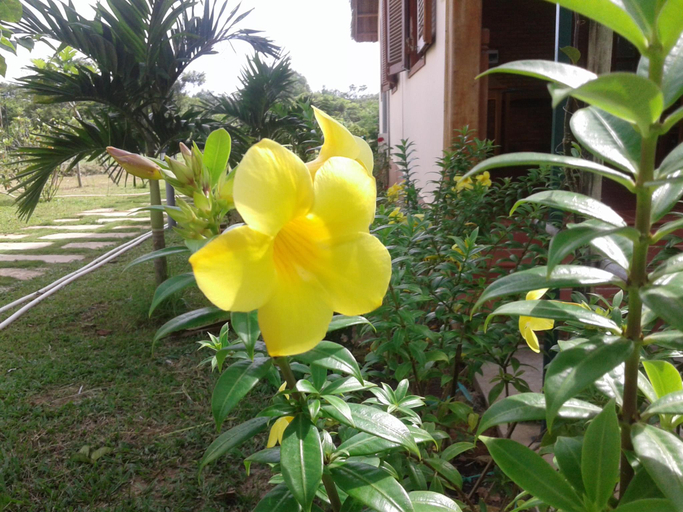 Others 2, Spring Garden Homestay, Phú Quốc