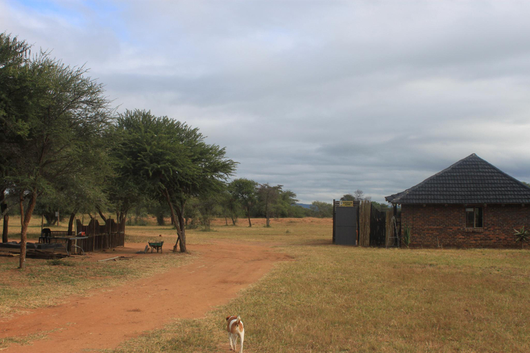Others 5, Grootgeluk Bush Camp, Waterberg