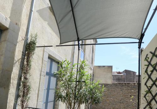 Sunny Terrace, Aude