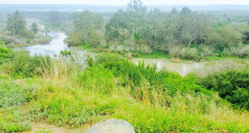 Others 5, River Front Estate, Cacadu