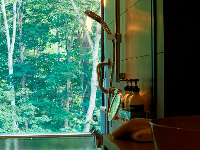 Bathroom 4, Okujozankeionsen Kashogyoen, Sapporo