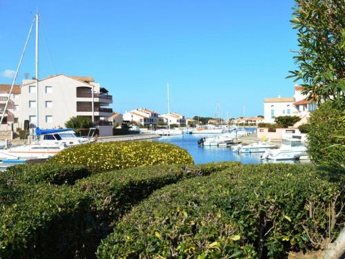 Appartement Saint-Cyprien, 2 pieces, 4 personnes - FR-1-225D-257, Pyrénées-Orientales