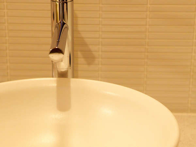 Bathroom 4, Tosa Gyoen, Kōchi